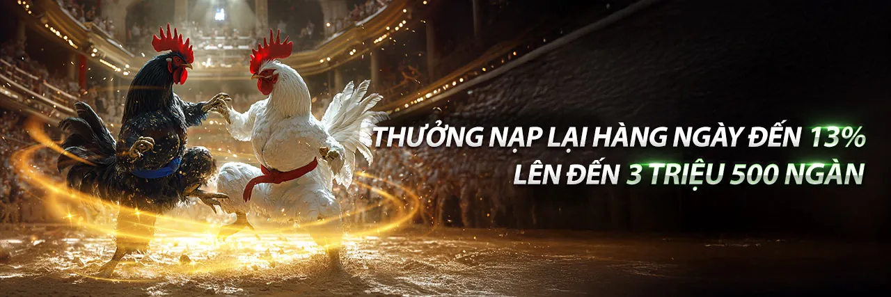 Đá gà trực tuyến J888 Nổ Hũ với không khí sôi động